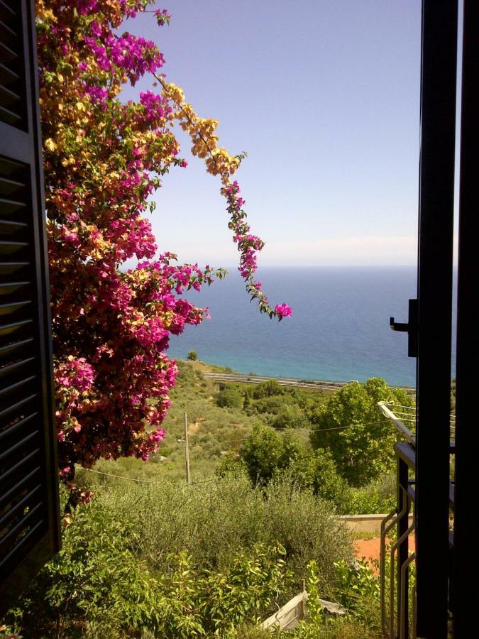 Risorgimento Apartment Cipressa Kültér fotó