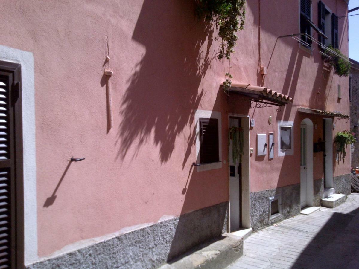 Risorgimento Apartment Cipressa Kültér fotó