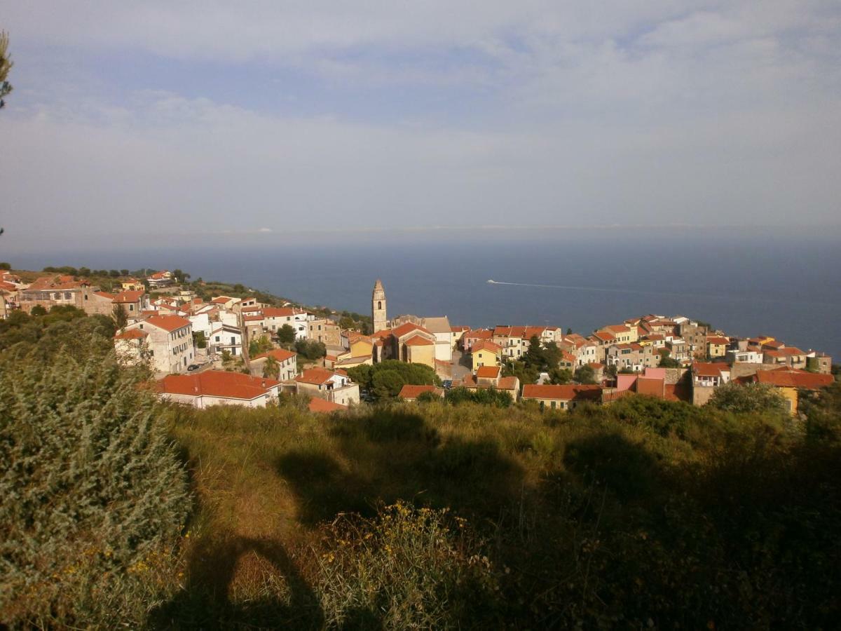 Risorgimento Apartment Cipressa Kültér fotó